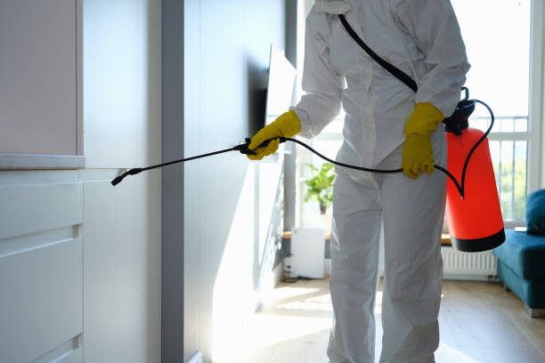 Best Localized Mold Remediation (e.g., coastal areas, humid climates) in Dade City North, FL