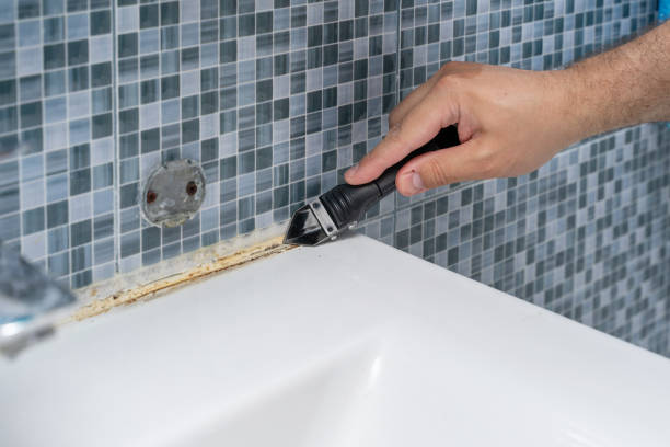 Best Post-Remediation Services in Dade City North, FL