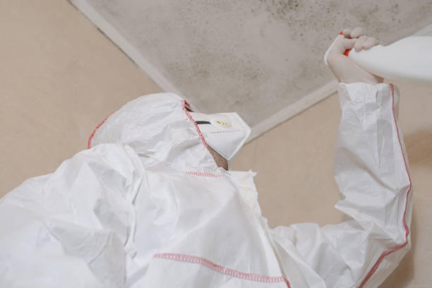 Best Mold Testing and Inspection Services in Dade City North, FL