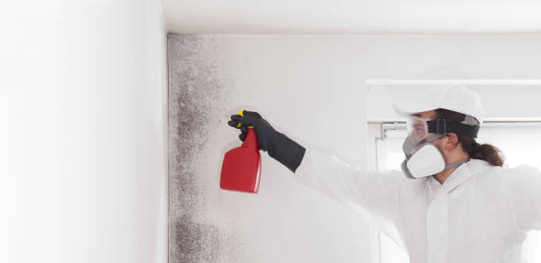 Best Bathroom Mold Remediation in Dade City North, FL