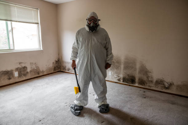 Best Mold Remediation for Schools in Dade City North, FL